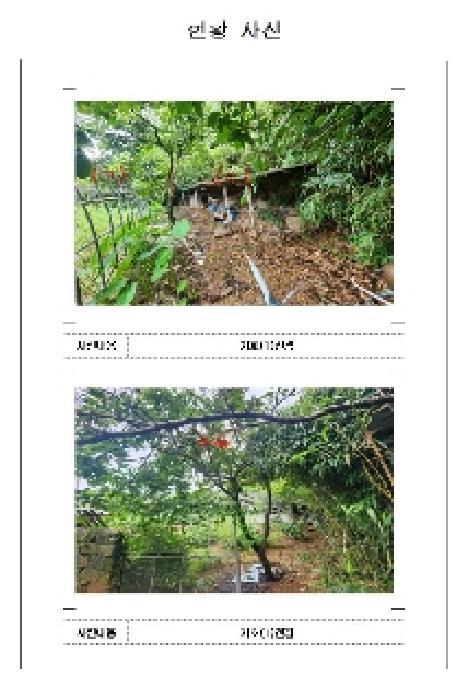 전라남도 영암군 삼호읍 망산리 751 대지 경매 사진 11