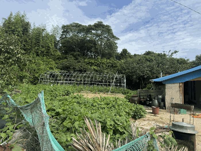 전라남도 영암군 삼호읍 망산리 751 대지 경매 사진 5