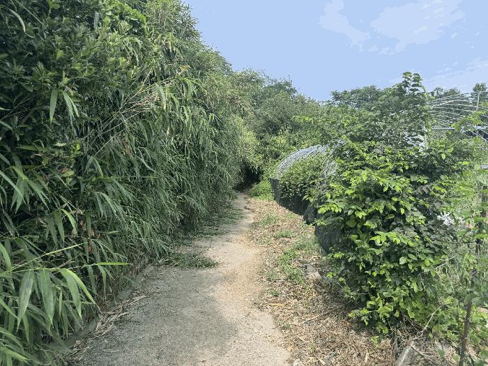 전라남도 영암군 삼호읍 망산리 751 대지 경매 사진 9