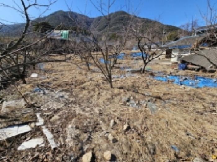 경상남도 산청군 단성면 자양리 214 주택 경매 사진 1