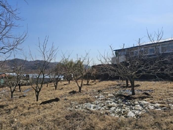경상남도 산청군 단성면 자양리 214 주택 경매 사진 6