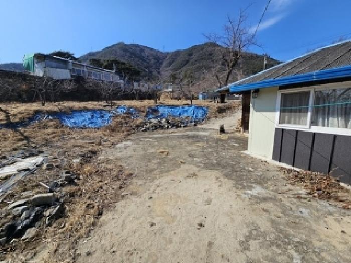 경상남도 산청군 단성면 자양리 249-1 답 경매 사진 2