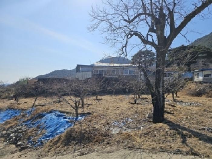 경상남도 산청군 단성면 자양리 249-1 답 경매 사진 7