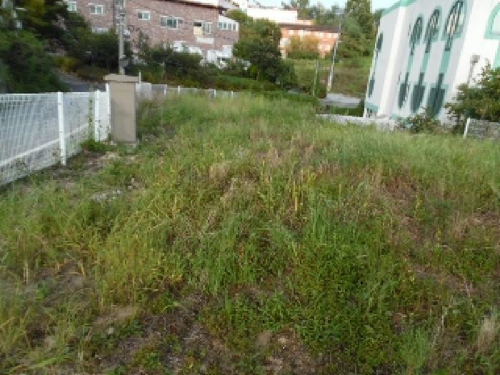 전북특별자치도 전주시 완산구 삼천동3가 321-63 전 경매 사진 46