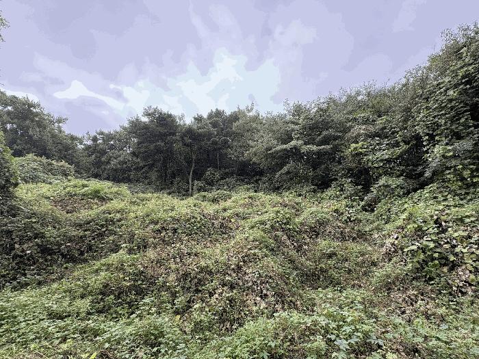 전라남도 영암군 신북면 용산리 23 답 경매 사진 11