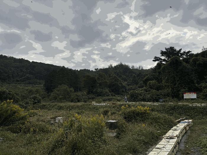 전라남도 영암군 신북면 용산리 23 답 경매 사진 16