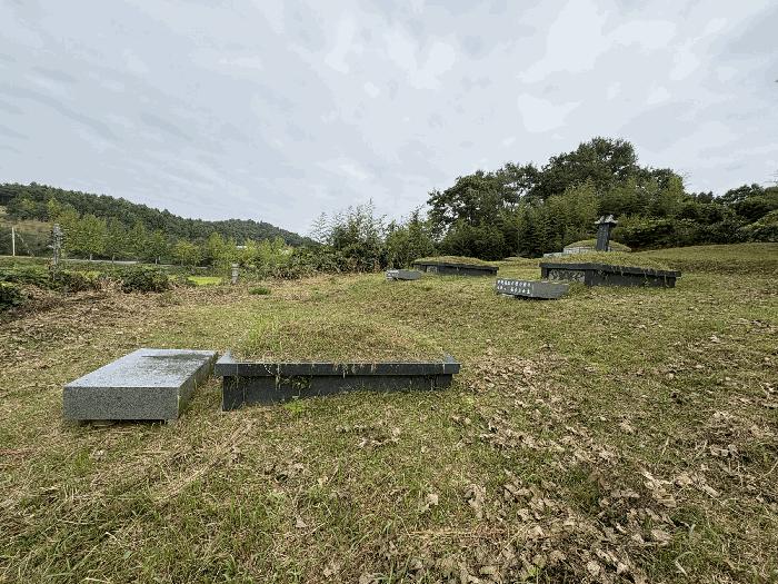 전라남도 영암군 신북면 용산리 23 답 경매 사진 26