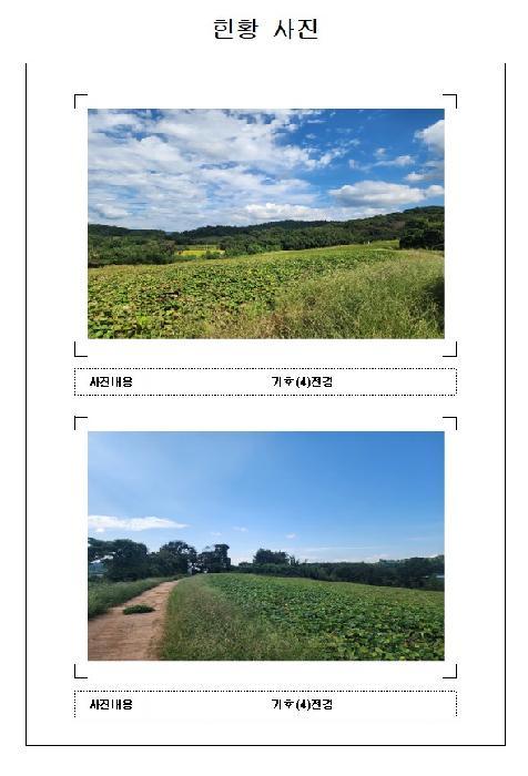 전라남도 영암군 신북면 용산리 23 답 경매 사진 32
