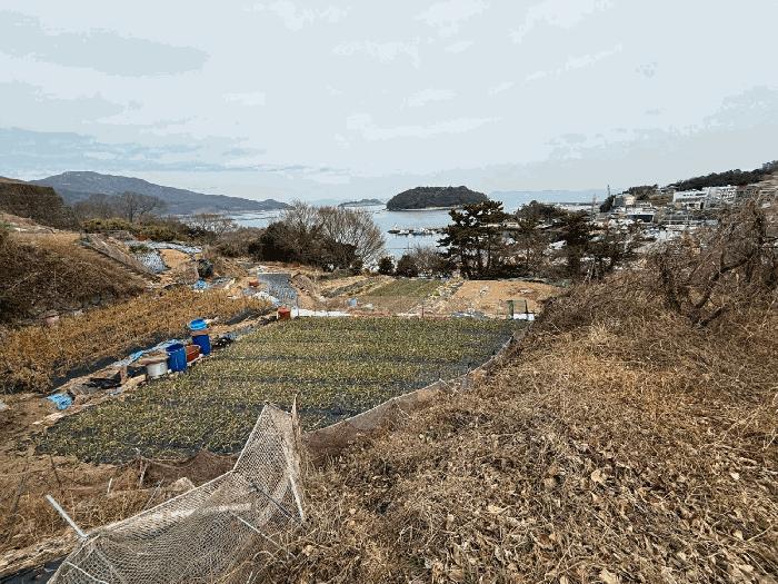 경상남도 남해군 미조면 미조리 27-6 전 경매 사진 6