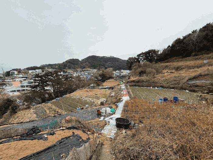 경상남도 남해군 미조면 미조리 93-2 주택 경매 사진 3