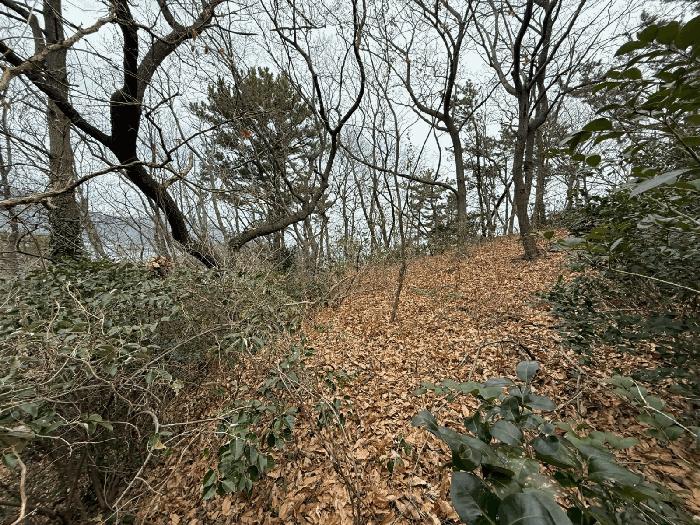 경상남도 남해군 미조면 미조리 107 전 경매 사진 8