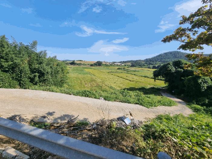 전라남도 무안군 일로읍 의산리 1534 답 경매 사진 2
