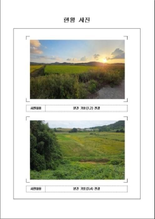 전라남도 무안군 해제면 양월리 253-45 답 경매 사진 3