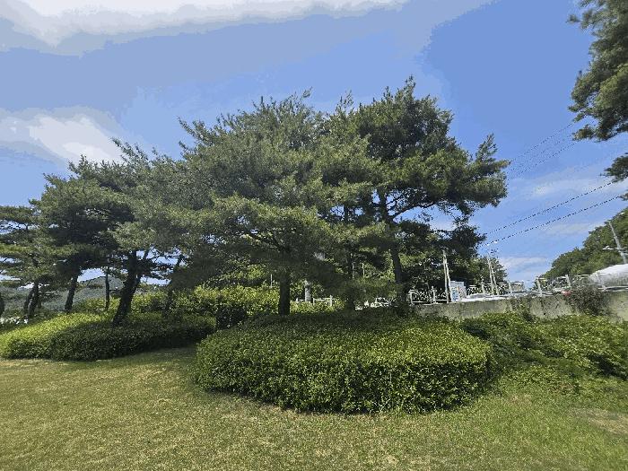 경상남도 하동군 금남면 계천리 361-3 창고 경매 사진 18