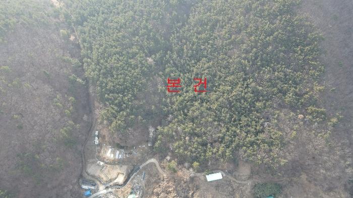부산광역시 기장군 장안읍 용소리 산151 임야 경매 사진 2