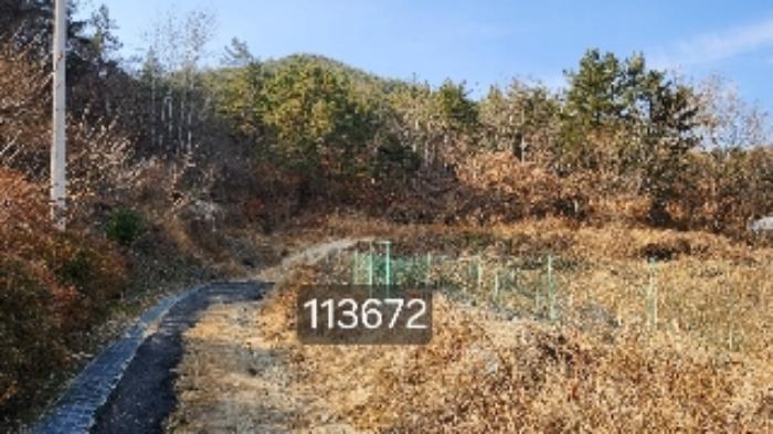 부산광역시 기장군 장안읍 용소리 산151 임야 경매 사진 3