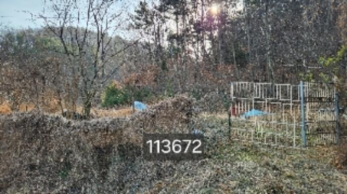 부산광역시 기장군 장안읍 용소리 산151 임야 경매 사진 5