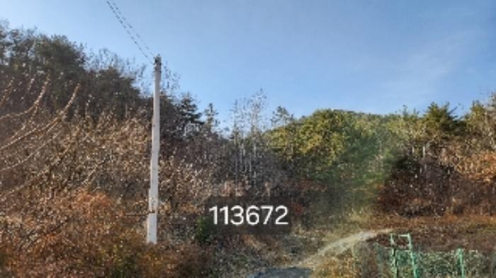 부산광역시 기장군 장안읍 용소리 산151 임야 경매 사진 6