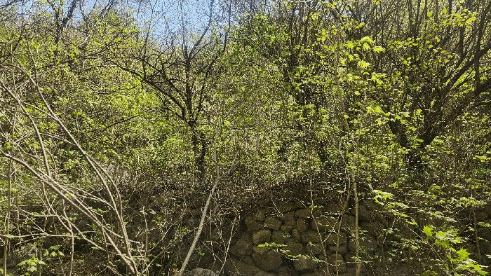경상남도 하동군 화개면 부춘리 410 답 경매 사진 16