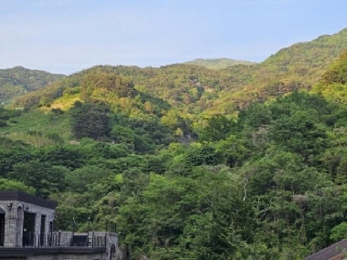 경상남도 하동군 화개면 부춘리 410 답 경매 사진 17