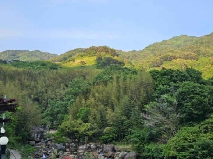 경상남도 하동군 화개면 부춘리 410 답 경매 사진 18