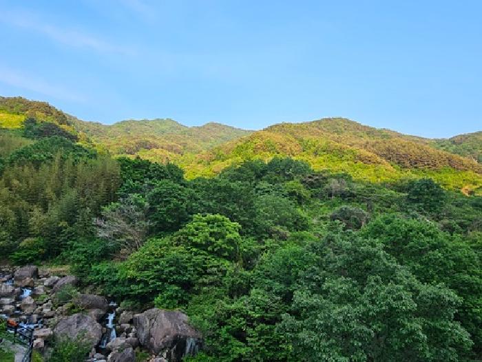 경상남도 하동군 화개면 부춘리 410 답 경매 사진 19