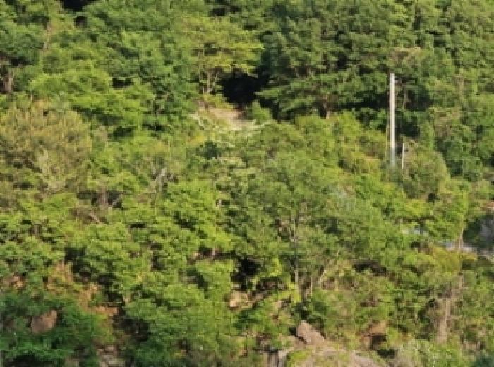 경상남도 하동군 화개면 부춘리 410 답 경매 사진 20