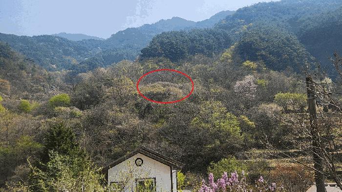 경상남도 하동군 화개면 부춘리 410 답 경매 사진 8
