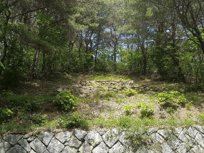 경상남도 사천시 곤명면 송림리 산19 임야 경매 사진 3