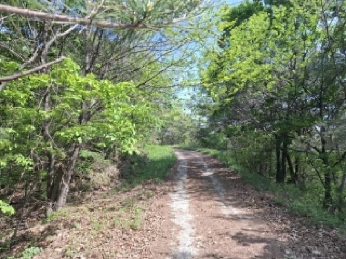 경상남도 사천시 곤명면 송림리 산19 임야 경매 사진 9