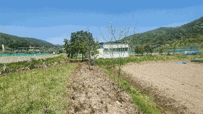 경상남도 진주시 진성면 대사리 1392 답 경매 사진 2