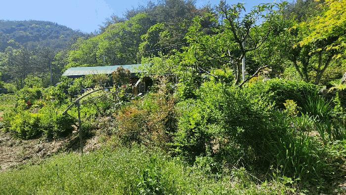 경상남도 진주시 진성면 대사리 1392 답 경매 사진 22