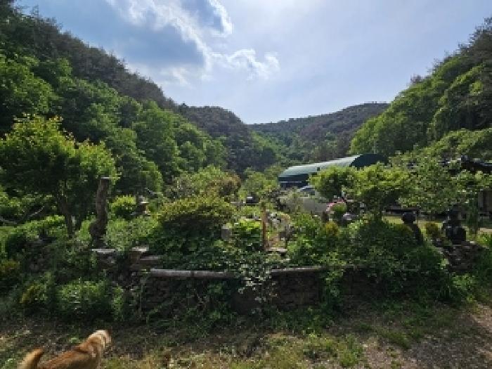경상남도 진주시 진성면 대사리 1392 답 경매 사진 29