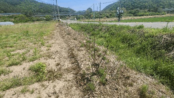경상남도 진주시 진성면 대사리 1392 답 경매 사진 3