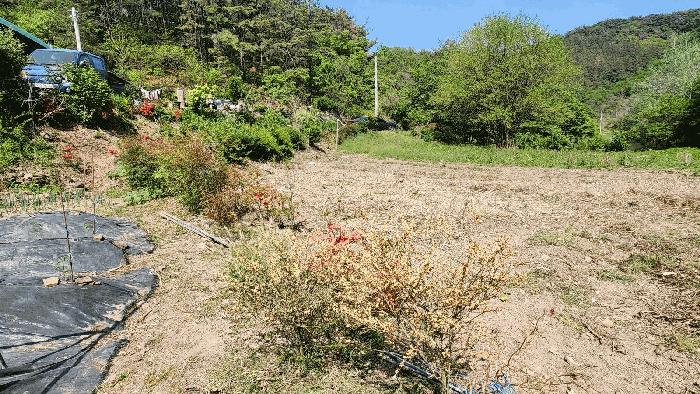 경상남도 진주시 진성면 대사리 1392 답 경매 사진 8