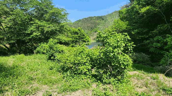 경상남도 진주시 진성면 대사리 1392 답 경매 사진 9