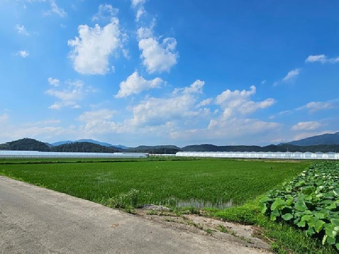 경상남도 진주시 명석면 계원리 535 답 경매 사진 7