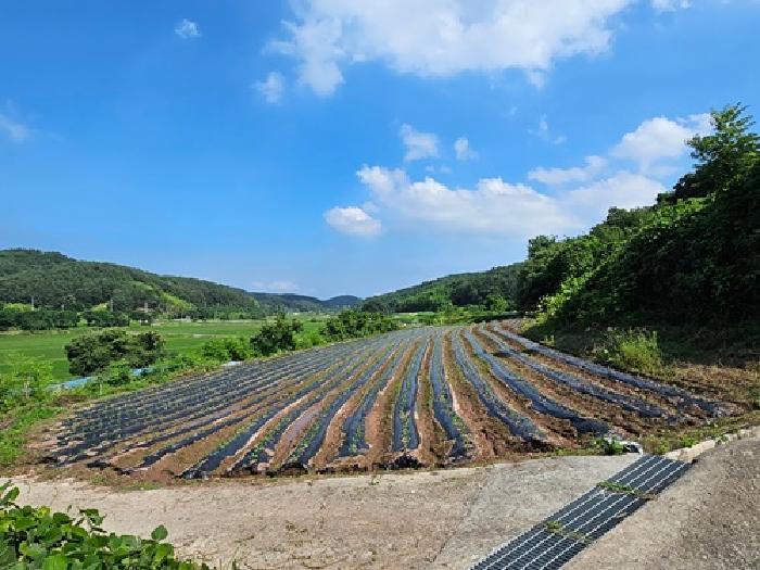 경상남도 진주시 지수면 금곡리 603 전 경매 사진 4