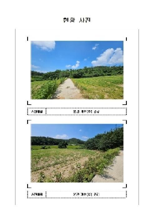 전라남도 신안군 압해읍 가룡리 산217 임야 경매 사진 4