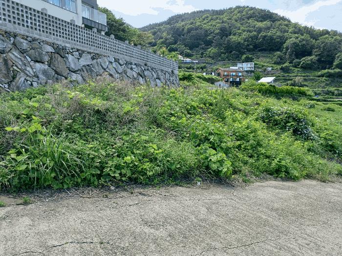 경상남도 남해군 남면 홍현리 433-2 펜션(캠핑장) 경매 사진 11