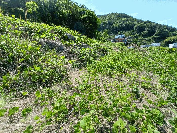 경상남도 남해군 남면 홍현리 433-2 펜션(캠핑장) 경매 사진 12