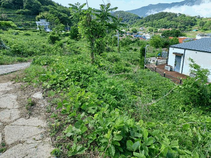 경상남도 남해군 남면 홍현리 433-2 펜션(캠핑장) 경매 사진 14
