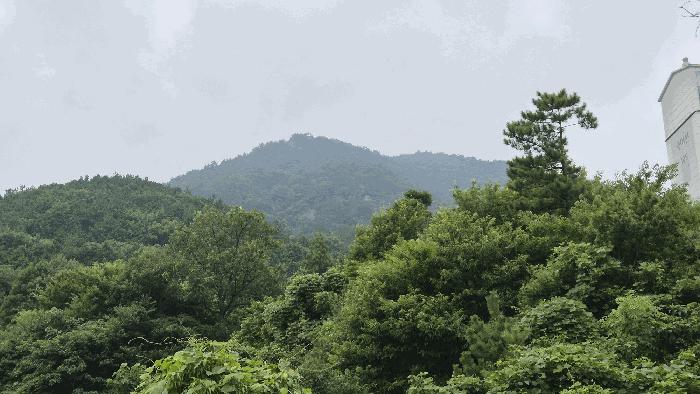 경상남도 거제시 사등면 사곡리 924 임야 경매 사진 2