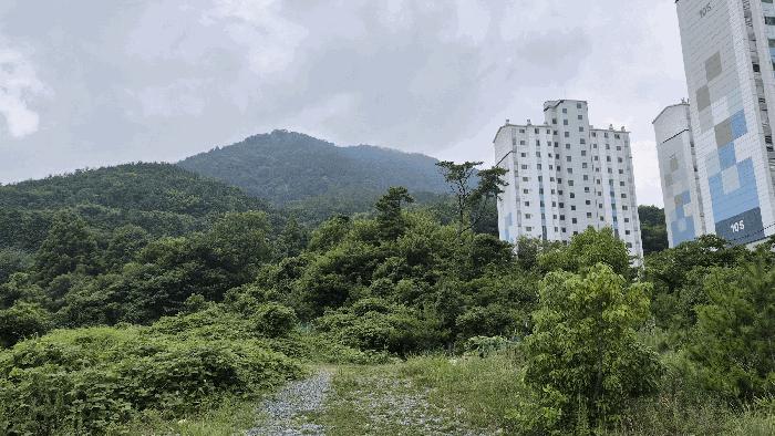 경상남도 거제시 사등면 사곡리 924 임야 경매 사진 3