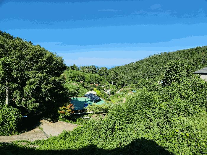 경상남도 거제시 장목면 시방리 534 주택 경매 사진 2