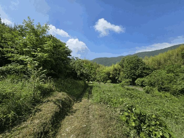 경상남도 하동군 북천면 화정리 산168 임야 경매 사진 12
