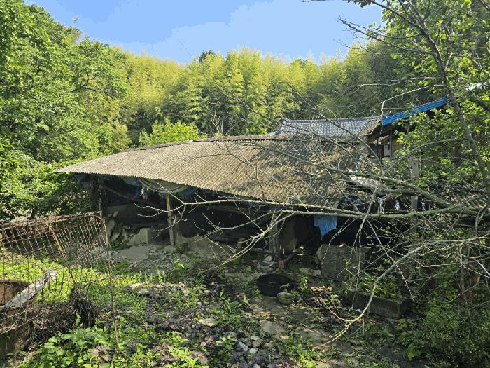 경상남도 하동군 북천면 화정리 산168 임야 경매 사진 14