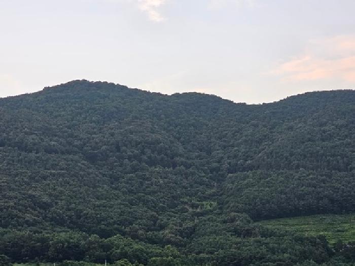 경상남도 하동군 북천면 화정리 산168 임야 경매 사진 26