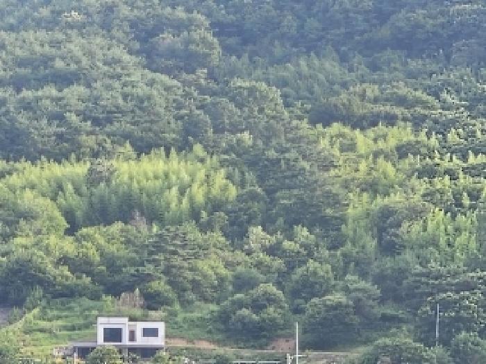 경상남도 하동군 북천면 화정리 산168 임야 경매 사진 28