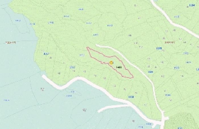경상남도 하동군 북천면 화정리 산168 임야 경매 사진 65